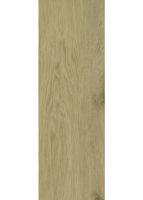 Dlažba Decorwood Gold 20x60