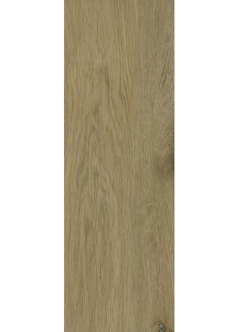 Dlažba Decorwood Honey 20x60